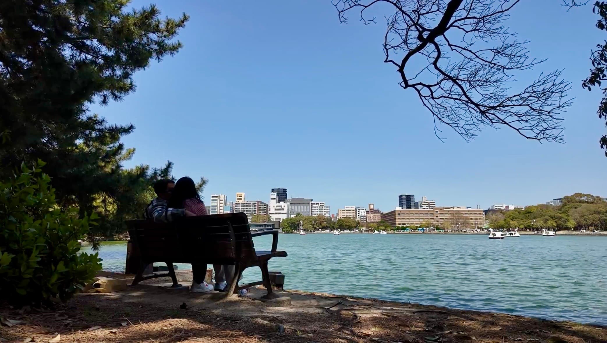 The proposal